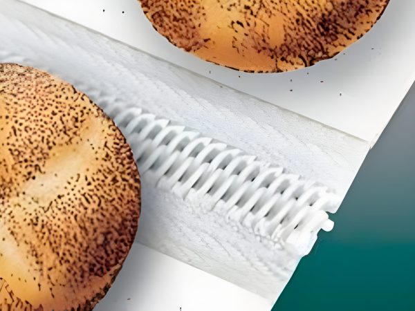 aligator-spiraflex-baruck