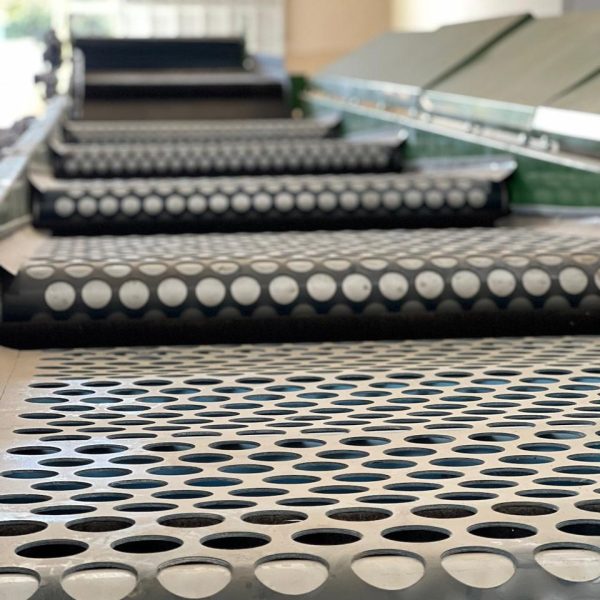 baruck-correias-correia-pvc-2