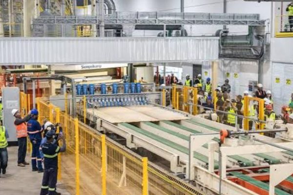 baruck-correias-madeira-wood