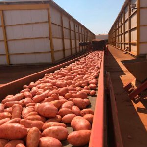 Correias de Borracha