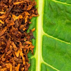 Correias Sincronizadoras